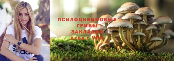 каннабис Алзамай