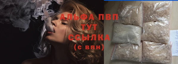 крисы Абаза
