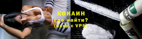 крисы Абаза