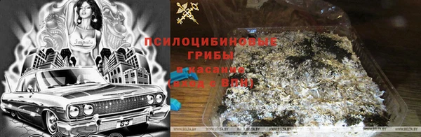 ECSTASY Абинск