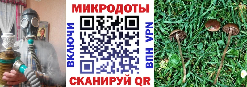 darknet телеграм Ангарск Псилоцибиновые грибы MAGIC MUSHROOMS